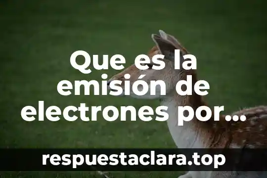 Que es la emisión de electrones por efecto de campo