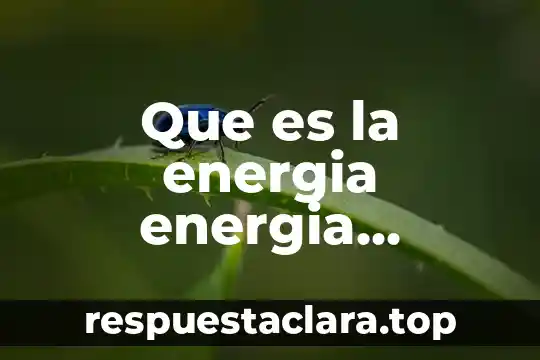 Que es una señal de energia 5 Que es la energia energia biomasa