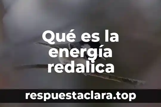 Qué es la energía redalica