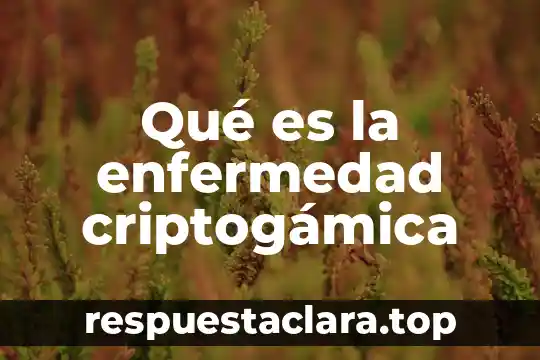 Que es la enfermedad shiminentou 4 Qué es la enfermedad criptogámica