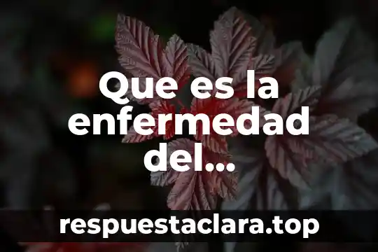 Que es la enfermedad shiminentou 7 Que es la enfermedad del cladosporium fulvum