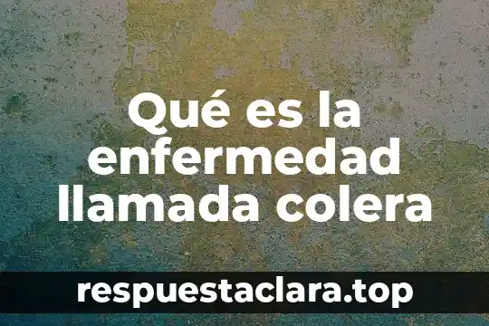 Que es la enfermedad desde el catolicismo 3 Qué es la enfermedad llamada colera