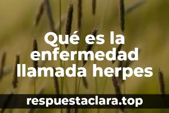 Qué es llamada arquitectura viva 5 Qué es la enfermedad llamada herpes