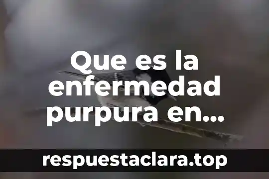 Que es la enfermedad purpura en niños
