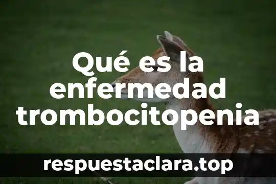 Qué es la enfermedad trombocitopenia