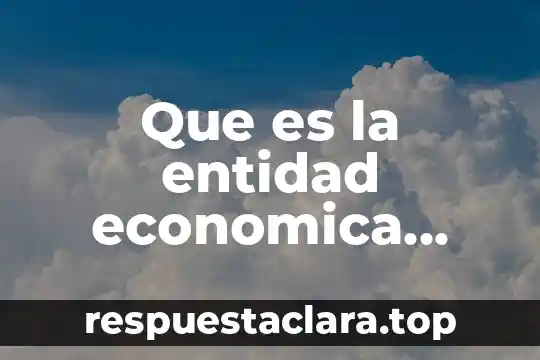 Que es un logotipo y ejemplo 6 Que es la entidad economica ejemplo