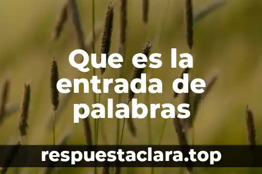 Que es lo significa las palabras de ryu 6 Que es la entrada de palabras