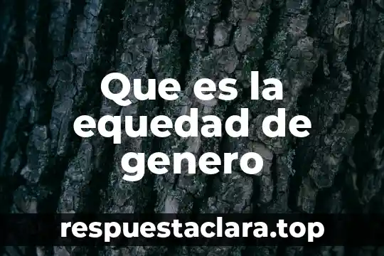 Que es la equedad de genero