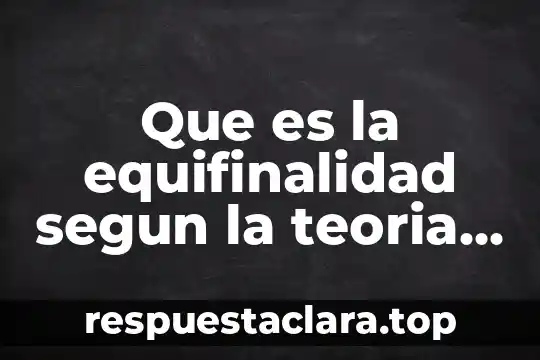 Que es la equifinalidad segun la teoria de sistemas