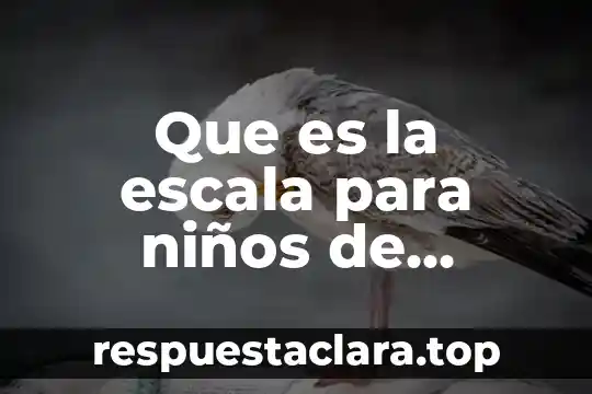 Que es la escala para niños de primaria