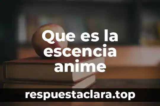 Que es el usuario general de la contabilidad 6 Que es la escencia anime