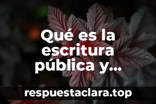 Qué es una leyenda y cuantos tipos hay 6 Qué es la escritura pública y cuántos tipos hay