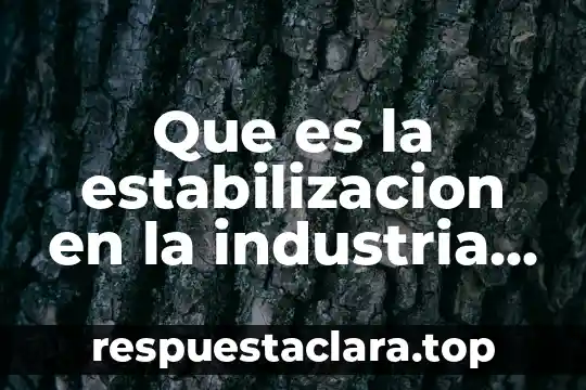 Que es la estabilizacion en la industria petrolera