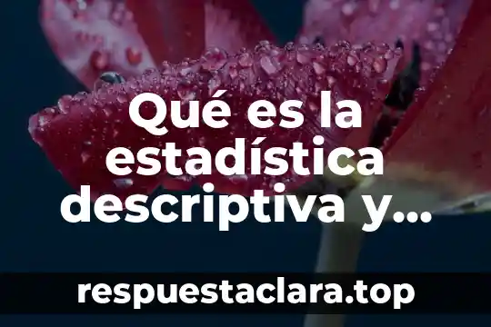 Que es una señal analogica caracteristicas 8 Qué es la estadística descriptiva y sus características