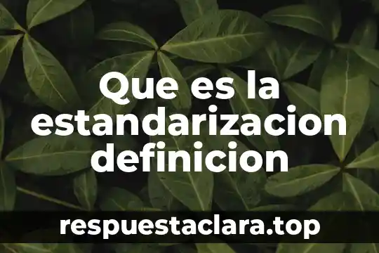 Que es la estandarizacion definicion
