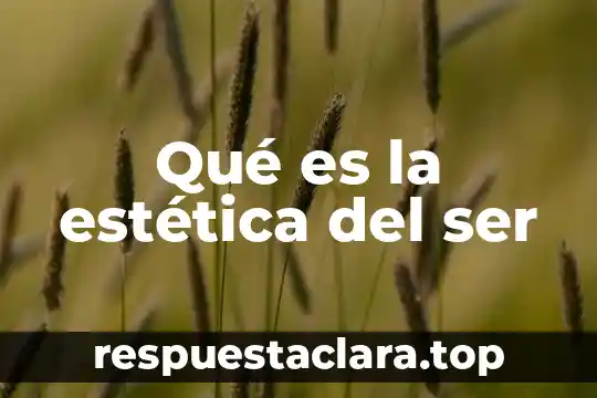 Qué es la estética del ser