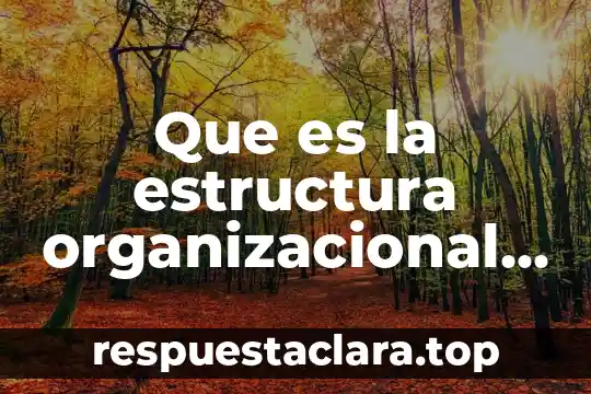 Que es la estructura organizacional burocratica