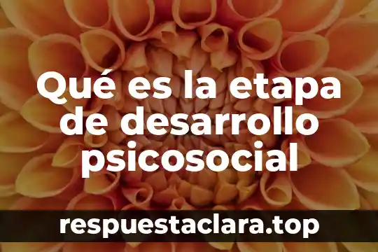 Qué es la etapa de desarrollo psicosocial