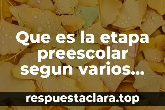 Que es la etapa preescolar segun varios autores