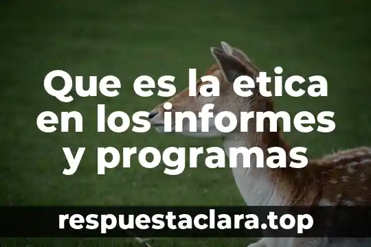 Que es la etica en los informes y programas