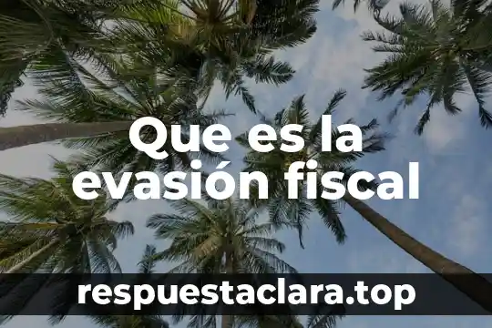Que es la evasión fiscal