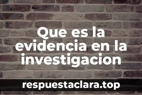 Que es la evidencia en la investigacion