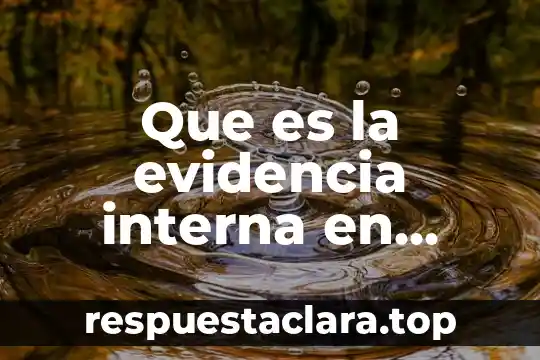 Que es la evidencia interna en enfermeria