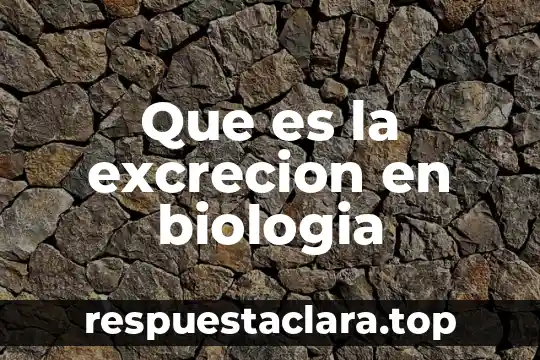 Que es un mineral biologia 7 Que es la excrecion en biologia