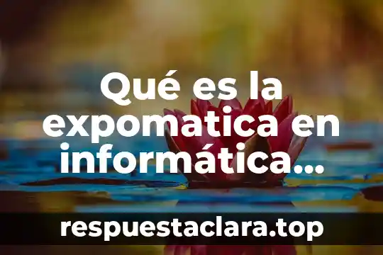 Qué es la expomatica en informática cuadro comparativo