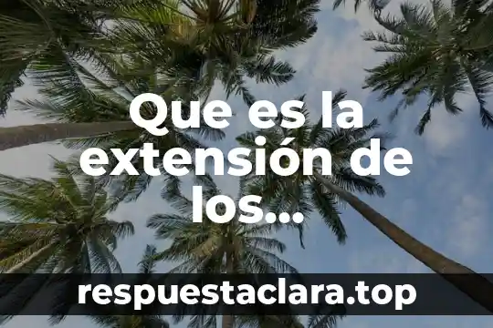Información que es guardada con un nombre y extensión 5 Que es la extensión de los trabajadores en hotel