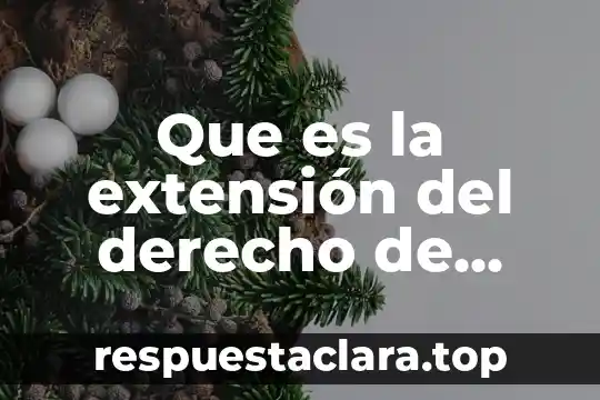 Información que es guardada con un nombre y extensión 7 Que es la extensión del derecho de propiedad