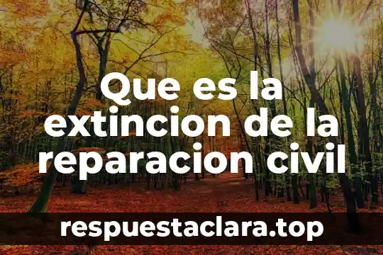 Que es la extincion de la reparacion civil