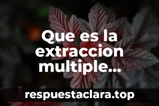 Qué es electrolisis en química símbolo 3 Que es la extraccion multiple quimica organica