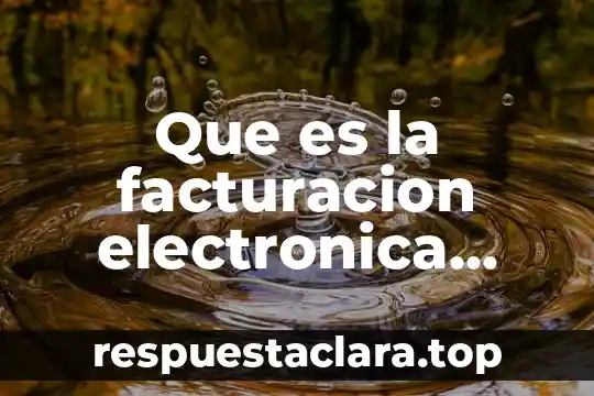 Compaqi star significa que es sistema de facturacion 8 Que es la facturacion electronica libros