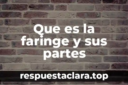 Que es integracio por partes 6 Que es la faringe y sus partes