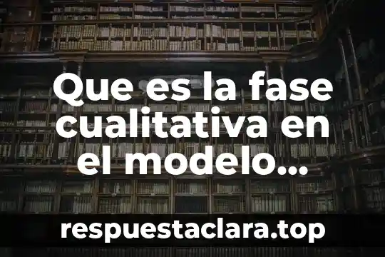Que es la fase cualitativa en el modelo bifasico