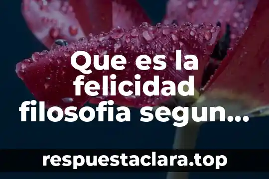 Que es la felicidad filosofia segun agustin