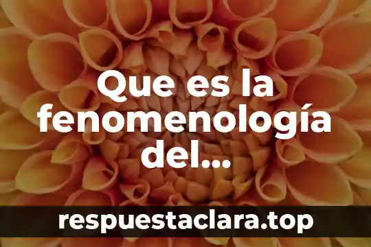 Que es el conocimiento p profesional docente 4 Que es la fenomenología del conocimiento