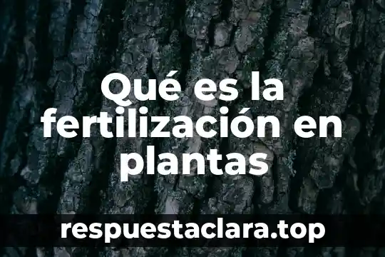 Qué es la fertilización en plantas