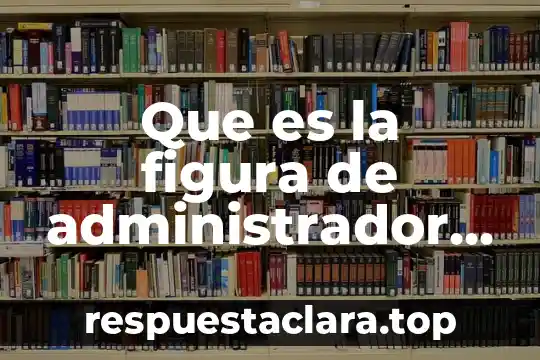 Que es la figura de administrador de energia