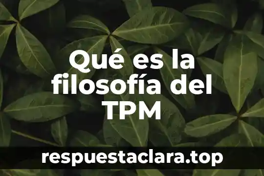 Qué es la filosofía del TPM
