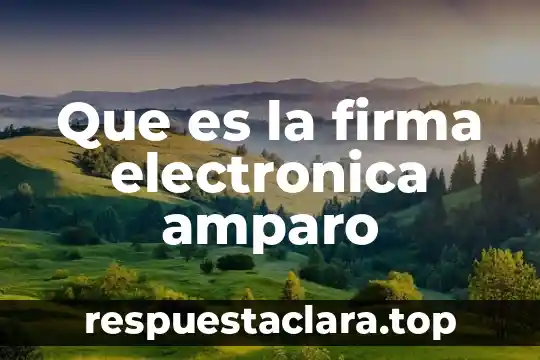 En materia de amparo que es apelación y impugnación 3 Que es la firma electronica amparo