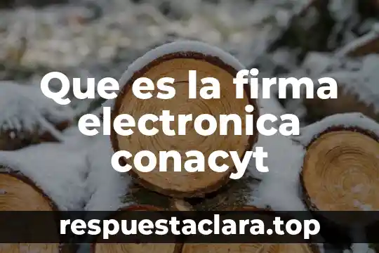 Que es u tpi electronica 3 Que es la firma electronica conacyt