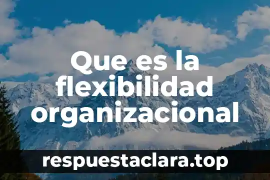 Que es la flexibilidad organizacional