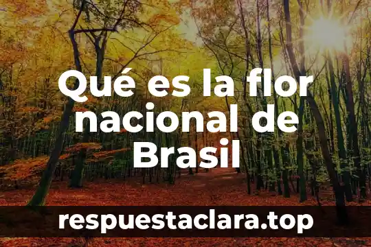 Para que es la flor de la vida 4 Qué es la flor nacional de Brasil
