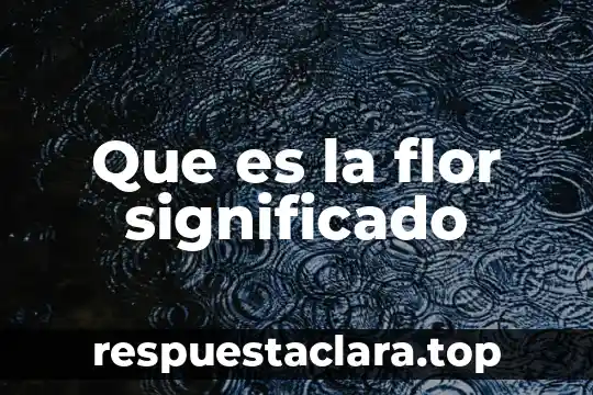 Qué es nauta significado 4 Que es la flor significado