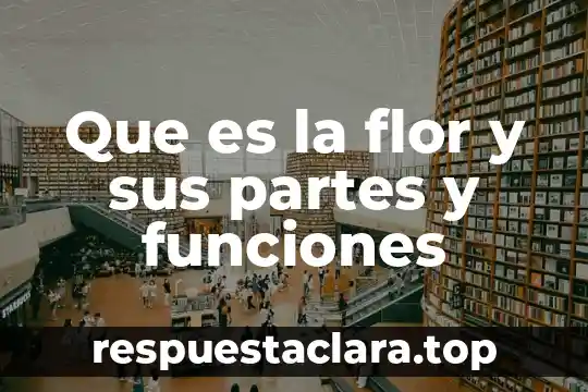 Que es la flor y sus partes y funciones