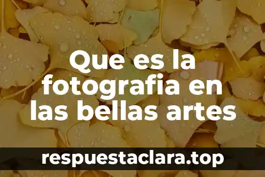 Que es la fotografia en las bellas artes