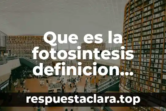 Que es la fotosintesis definicion breve