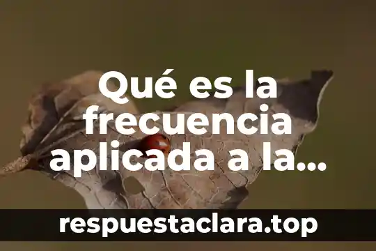Qué es la frecuencia aplicada a la estadística